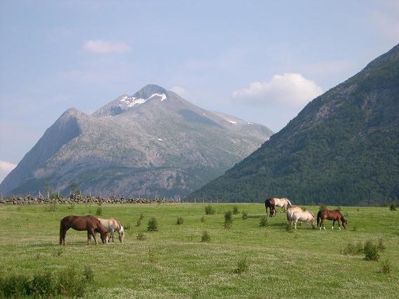 Donhaug Gjestegard Uskedalen ภายนอก รูปภาพ